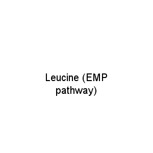 Leucine (EMP pathway)